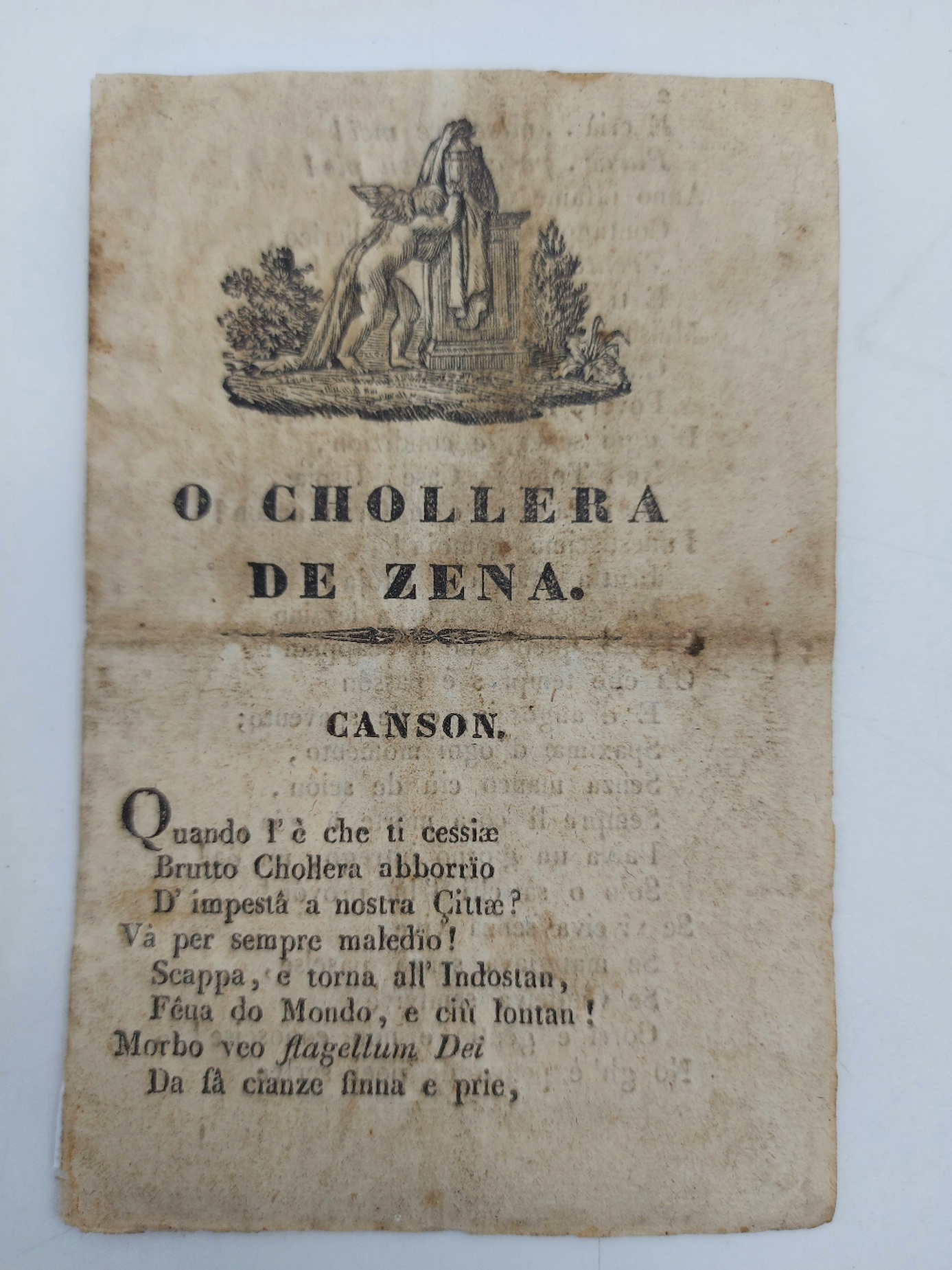 O chollera de Zena. Canson